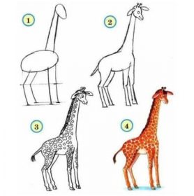 comment dessiner les animaux du zoo girafe
