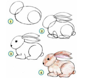 comment dessiner les animaux du zoo lapin