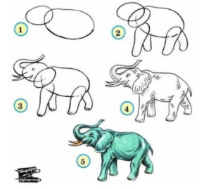 comment dessiner les animaux du zoo éléphant