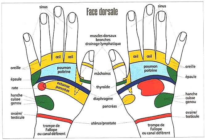 mains face dorsale points douleurs