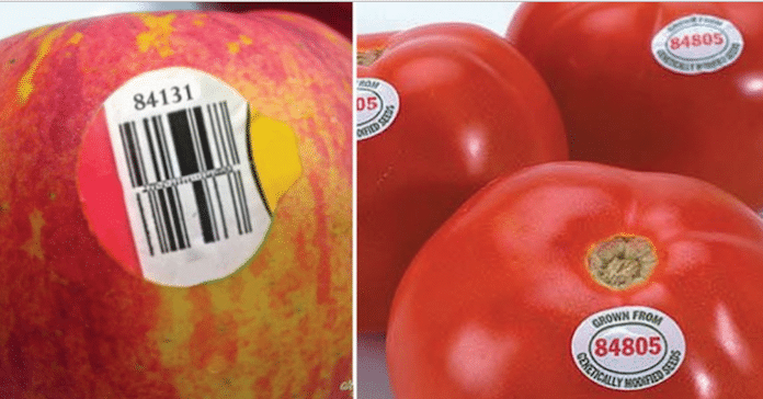 pommes tomates