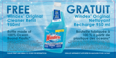 windex coupon 1