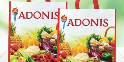 adonis concours