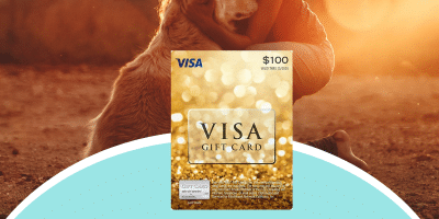 visa carte prepayee concours jeu steamy kitchen 1