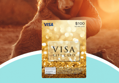 visa carte prepayee concours jeu steamy kitchen 1