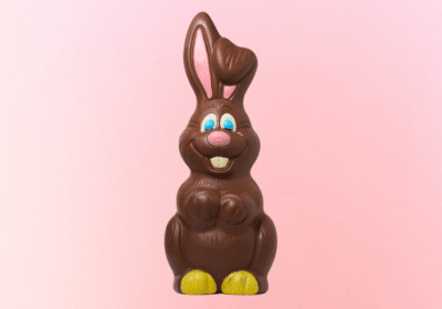 jeu concours chocolats favoris lapin alex