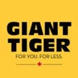 Circulaire Tigre Géant 1 Tigre Géant